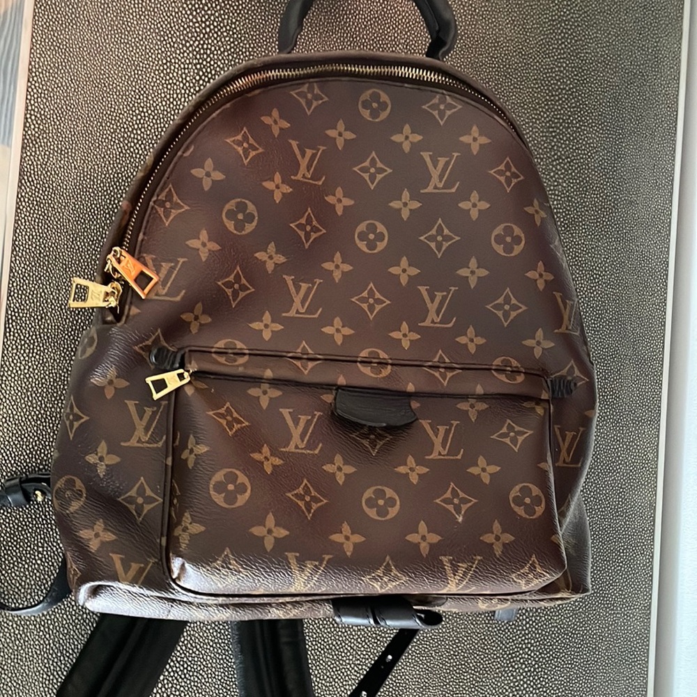 Louis Vuitton Palm Springs MM Backpack